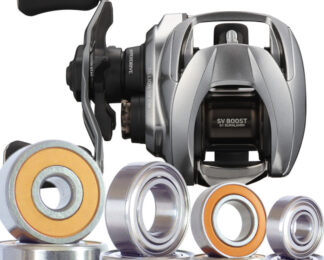 Daiwa Zillion 20 10.0 SV TW 100 Bearing Kits - All Options